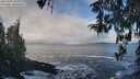 ./images/koeye/fitz-hugh/20260309/fitz-hugh20260309_103001M.jpg