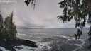 ./images/koeye/fitz-hugh/20260309/fitz-hugh20260309_104002M.jpg
