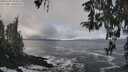./images/koeye/fitz-hugh/20260309/fitz-hugh20260309_104501M.jpg