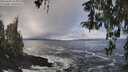 ./images/koeye/fitz-hugh/20260309/fitz-hugh20260309_105001M.jpg