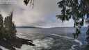 ./images/koeye/fitz-hugh/20260309/fitz-hugh20260309_105501M.jpg