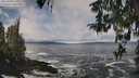 ./images/koeye/fitz-hugh/20260309/fitz-hugh20260309_110501M.jpg