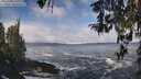 ./images/koeye/fitz-hugh/20260309/fitz-hugh20260309_111001M.jpg