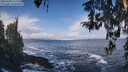 ./images/koeye/fitz-hugh/20260309/fitz-hugh20260309_111502M.jpg