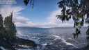 ./images/koeye/fitz-hugh/20260309/fitz-hugh20260309_112001M.jpg