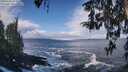 ./images/koeye/fitz-hugh/20260309/fitz-hugh20260309_112501M.jpg