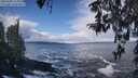./images/koeye/fitz-hugh/20260309/fitz-hugh20260309_113001M.jpg