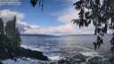 ./images/koeye/fitz-hugh/20260309/fitz-hugh20260309_113501M.jpg