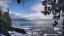 ./images/koeye/fitz-hugh/20260309/fitz-hugh20260309_114001M.jpg