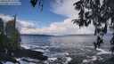 ./images/koeye/fitz-hugh/20260309/fitz-hugh20260309_114501M.jpg