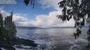 ./images/koeye/fitz-hugh/20260309/fitz-hugh20260309_115001M.jpg