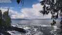 ./images/koeye/fitz-hugh/20260309/fitz-hugh20260309_115501M.jpg