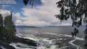 ./images/koeye/fitz-hugh/20260309/fitz-hugh20260309_120001M.jpg