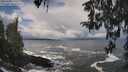 ./images/koeye/fitz-hugh/20260309/fitz-hugh20260309_120501M.jpg