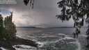 ./images/koeye/fitz-hugh/20260309/fitz-hugh20260309_122002M.jpg