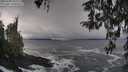 ./images/koeye/fitz-hugh/20260309/fitz-hugh20260309_122501M.jpg