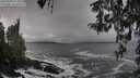 ./images/koeye/fitz-hugh/20260309/fitz-hugh20260309_123001M.jpg