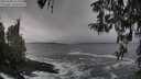 ./images/koeye/fitz-hugh/20260309/fitz-hugh20260309_123502M.jpg
