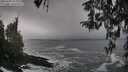 ./images/koeye/fitz-hugh/20260309/fitz-hugh20260309_124002M.jpg