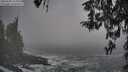 ./images/koeye/fitz-hugh/20260309/fitz-hugh20260309_135001M.jpg