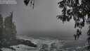 ./images/koeye/fitz-hugh/20260309/fitz-hugh20260309_141001M.jpg