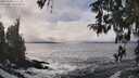 ./images/koeye/fitz-hugh/20260309/fitz-hugh20260309_145501M.jpg