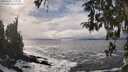 ./images/koeye/fitz-hugh/20260309/fitz-hugh20260309_150002M.jpg