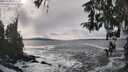 ./images/koeye/fitz-hugh/20260309/fitz-hugh20260309_151502M.jpg