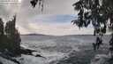 ./images/koeye/fitz-hugh/20260309/fitz-hugh20260309_152002M.jpg