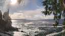 ./images/koeye/fitz-hugh/20260309/fitz-hugh20260309_153002M.jpg