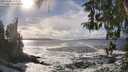 ./images/koeye/fitz-hugh/20260309/fitz-hugh20260309_153501M.jpg