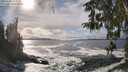 ./images/koeye/fitz-hugh/20260309/fitz-hugh20260309_154001M.jpg