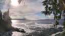 ./images/koeye/fitz-hugh/20260309/fitz-hugh20260309_154502M.jpg