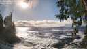./images/koeye/fitz-hugh/20260309/fitz-hugh20260309_161001M.jpg