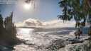 ./images/koeye/fitz-hugh/20260309/fitz-hugh20260309_162002M.jpg
