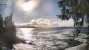 ./images/koeye/fitz-hugh/20260309/fitz-hugh20260309_162501M.jpg