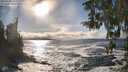 ./images/koeye/fitz-hugh/20260309/fitz-hugh20260309_163002M.jpg