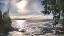 ./images/koeye/fitz-hugh/20260309/fitz-hugh20260309_163501M.jpg