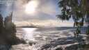 ./images/koeye/fitz-hugh/20260309/fitz-hugh20260309_164001M.jpg