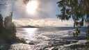 ./images/koeye/fitz-hugh/20260309/fitz-hugh20260309_164501M.jpg
