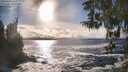 ./images/koeye/fitz-hugh/20260309/fitz-hugh20260309_165001M.jpg