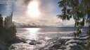 ./images/koeye/fitz-hugh/20260309/fitz-hugh20260309_165501M.jpg
