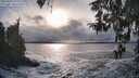 ./images/koeye/fitz-hugh/20260309/fitz-hugh20260309_171501M.jpg