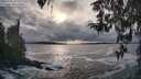 ./images/koeye/fitz-hugh/20260309/fitz-hugh20260309_172501M.jpg