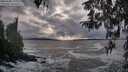 ./images/koeye/fitz-hugh/20260309/fitz-hugh20260309_173002M.jpg