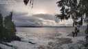 ./images/koeye/fitz-hugh/20260309/fitz-hugh20260309_175001M.jpg