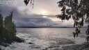 ./images/koeye/fitz-hugh/20260309/fitz-hugh20260309_175501M.jpg