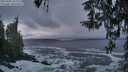 ./images/koeye/fitz-hugh/20260309/fitz-hugh20260309_192001M.jpg