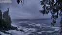 ./images/koeye/fitz-hugh/20260309/fitz-hugh20260309_193501M.jpg