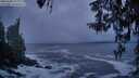 ./images/koeye/fitz-hugh/20260309/fitz-hugh20260309_194001M.jpg